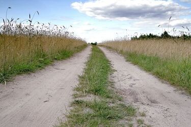 Gminy zajmą się drogami. Deszcz już nie zablokuje przejazdu
