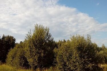 Zapowiada się słoneczny czwartek. Znów wzrośnie temperatura