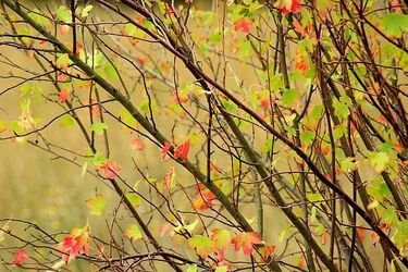 Przedostatni dzień sierpnia. Zapowiada się pogodnie