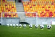 Ściąga kibica. Gra Ekstraklasa, I, II i III liga, a także CLJ
