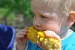 Podlaski Dzień Kukurydzy: wykłady, degustacje i konkursy