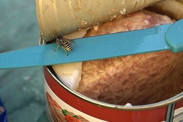 Nietypowa kradzież białostoczanina. Musiał być bardzo głodny
