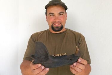 Niezwykłe znalezisko w Puszczy Knyszyńskiej