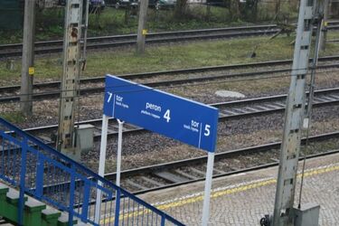 Pociągiem na spotkanie z papieżem Franciszkiem. Trwa sprzedaż biletów