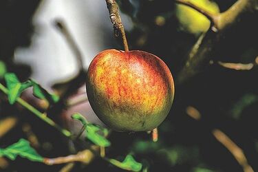 Wtorek z wysoką temperaturą. Pojawi się jednak spore zachmurzenie