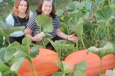 Gigantyczna dynia w ogródku państwa Kazimieruków [ZDJĘCIA]