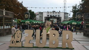 Huczne urodziny Żubra. Tłumy bawiły się z Królem Puszczy
