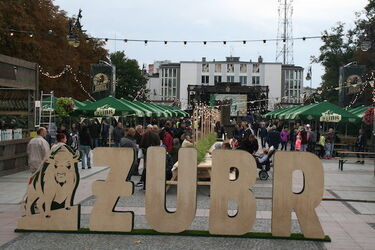 Huczne urodziny Żubra. Tłumy bawiły się z Królem Puszczy