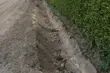 Mieszkanka złości się za rów przy swojej posesji. Uważa, że stwarza niebezpieczeństwo
