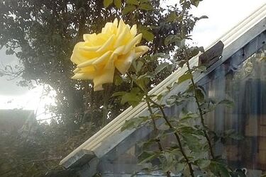 Pochmurny środek tygodnia. A w nocy przymrozki