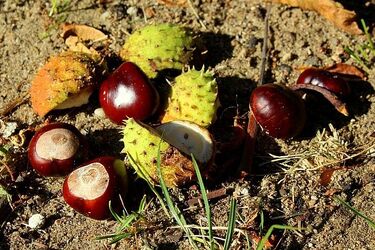 Czy słońce pokona chmury? Pogodny początek weekednu