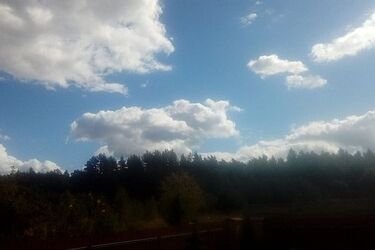 Dużo słońca przez cały dzień. Złota jesień w mieście