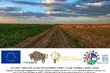 Scalanie gruntów – szansą na poprawę warunków gospodarowania gruntami rolnymi