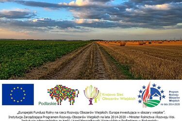 Scalanie gruntów – szansą na poprawę warunków gospodarowania gruntami rolnymi