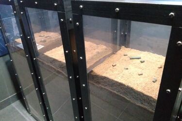 Białostocki areszt ma Izbę Pamięci. To miejsce, które uhonoruje zabite tam ofiary