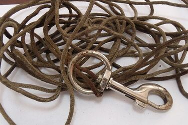 Potraktował psa w bestialski sposób. To był nieszczęśliwy wypadek?