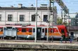 Mjr Raginis na podlaskich torach - zyskał najwięcej głosów