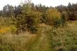 Tydzień na półmetku. A pogoda nadal rozpieszcza białostoczan
