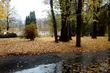 Deszczowy początek weekendu w mieście