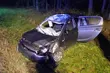 Kolejny wypadek z udziałem łosia. Tym razem bez ofiar