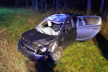 Kolejny wypadek z udziałem łosia. Tym razem bez ofiar