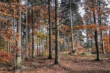 Pogoda na poniedziałek. Nad miastem pojawią się ciemne chmury