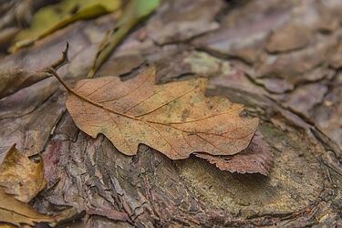 Duże zachmurzenie w ciągu dnia. A na termometrach 15 stopni