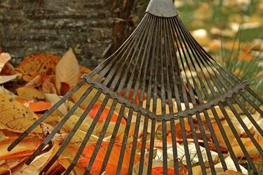 Pochmurny poniedziałek. Termometry w mieście pokażą 8 stopni