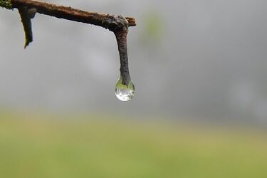 13 listopada z przelotnymi opadami deszczu