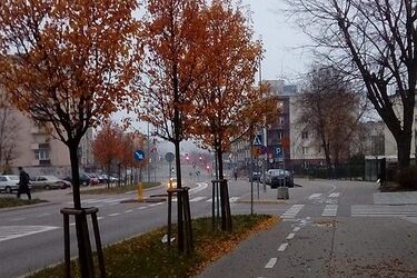 Połowa listopada za nami. Jaka pogoda będzie w czwartek?