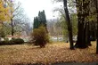Znaczny spadek temperatury. Szykują się przymrozki