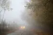 Mgły i szadź spowiją Podlasie. Spadnie widoczność [OSTRZEŻENIE]