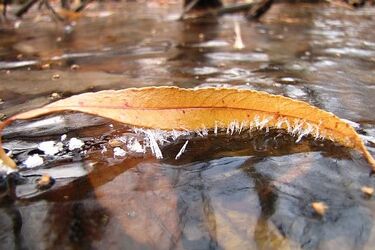 Czwartek z minusową temperaturą. Ile pokażą termometry?