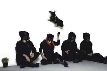 Nie wiadomo, kim są członkowie tej grupy. Zamaskowana formacja podbija rynek [WIDEO]