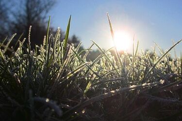 Przed nami ostatni dzień listopada. Będzie bezchmurny, ale chłodny