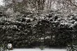 Weekend z przelotnymi opadami i dodatnimi temperaturami