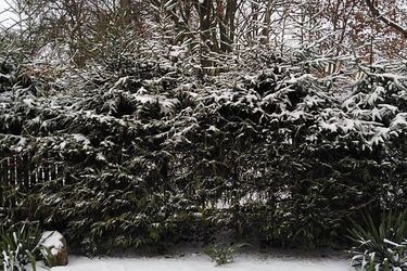 Weekend z przelotnymi opadami i dodatnimi temperaturami