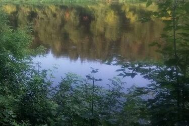 Ze stawu na Dojlidach wyłowiono zwłoki kobiety