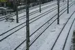 ŻółtaNaklejkaPLK zapobiegła tragedii na torach