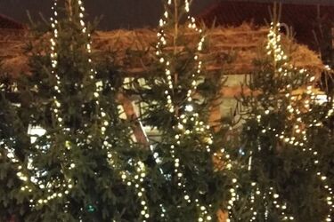 Pogoda na wigilię. Spodziewane są słabe opady śniegu