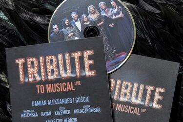Tribute to musical. Damian Aleksander i jego goście