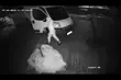 Złodzieje poszukiwani. Czy ktoś ich widział? [WIDEO]
