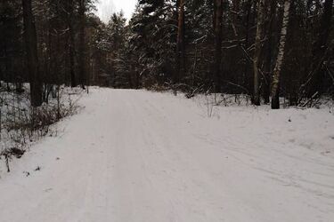 Zapowiada się bardzo niska temperatura w stolicy Podlasia