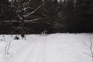 Meteorolodzy ostrzegają. W regionie znowu będą zamiecie i zawieje śnieżne