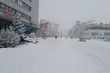 Zima paraliżuje miasto. Intensywne opady śniegu dają się we znaki