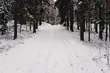 Czwartek z dodatnią temperaturą i przelotnymi opadami deszczu ze śniegiem