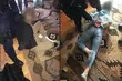Zaatakowali seniora w jego domu. Odpowiedzą za rozbój