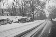 Ujemne temperatury to nie przelewki. Specjaliści wydali zalecenia