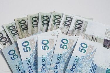 Wprowadzali do obiegu "puste faktury". Straty wyniosły prawie 35 mln zł