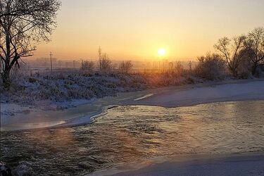 Pogoda na 29 stycznia. Czeka nas pochmurny dzień